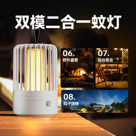 【新款二合一电击式灭蚊灯】露营LED锂电充电灭蚊器 户外驱蝇虫器 
