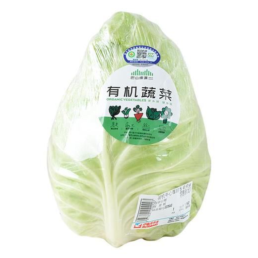 有机牛心莲白 约500g/份 商品图2