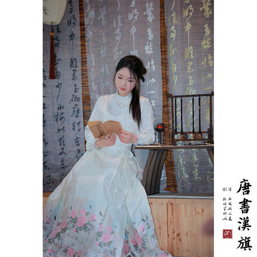 【满庭芳·堂春】马面裙织金妆花改良国风新中式小阁藏春马面套装 商品图5