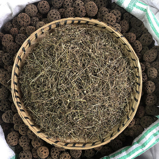 白花蛇舌草 净货切段 商品图1