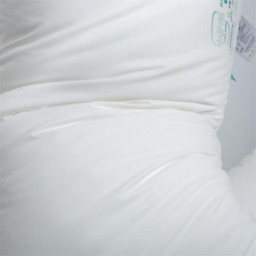 全棉A类母婴级枕芯五星级酒店大豆纤维枕头宾馆成人学生护颈椎枕全面酒店枕芯 商品图2
