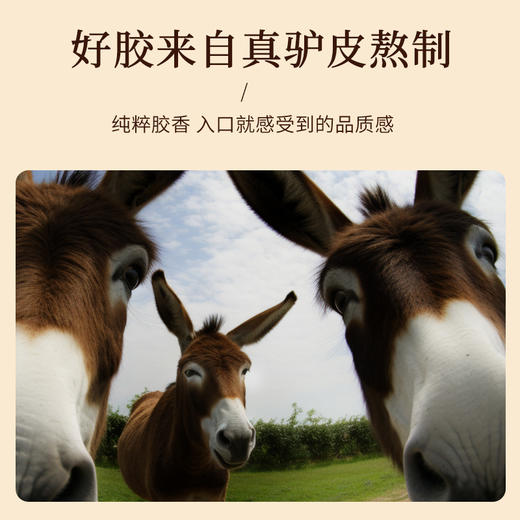 【正宗同仁堂品牌】北京同仁堂 玫瑰味阿胶糕75克 送礼盒 独立包装SY 商品图6