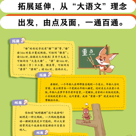 小学生错别字救星-写字一分也不丢（全2册） 商品图4