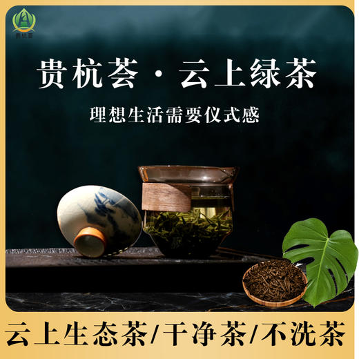 云上绿茶 商品图0