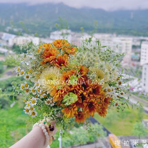 【如花在野】橘子汽水小雏菊2支香草沙拉小雏菊2支白色茴香1支洋甘菊2支绿灵草1支（提拉米苏设计） 商品图9