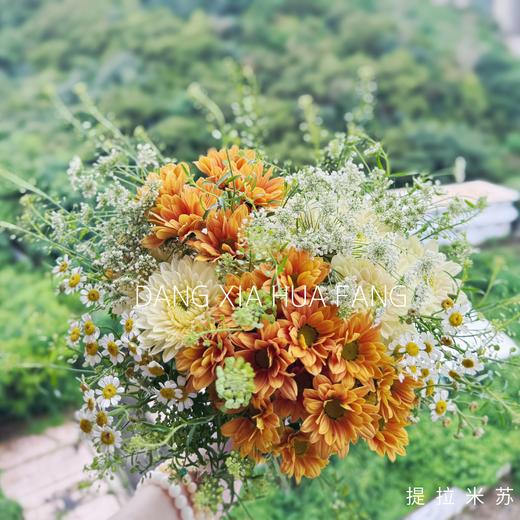 【如花在野】橘子汽水小雏菊2支香草沙拉小雏菊2支白色茴香1支洋甘菊2支绿灵草1支（提拉米苏设计） 商品图11