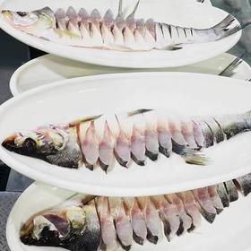 700-800g半边白丝鱼翘嘴鱼【2B3下】