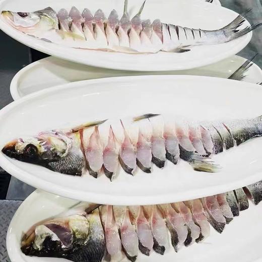 700-800g半边白丝鱼翘嘴鱼【2B3下】 商品图0