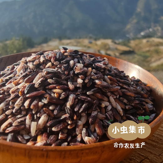 生态老品种白/紫糯米粉 400g/袋 | 合作农友生产，来自贵州黎平洋侗村，生产者：杨邦荣 ＆【公平贸易农人定价】 商品图14