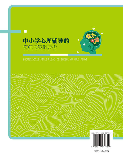 中小学心理辅导的实施与案例分析 林雅芳/著 9787303287680  北京师范大学出版社 正版书籍 商品图2