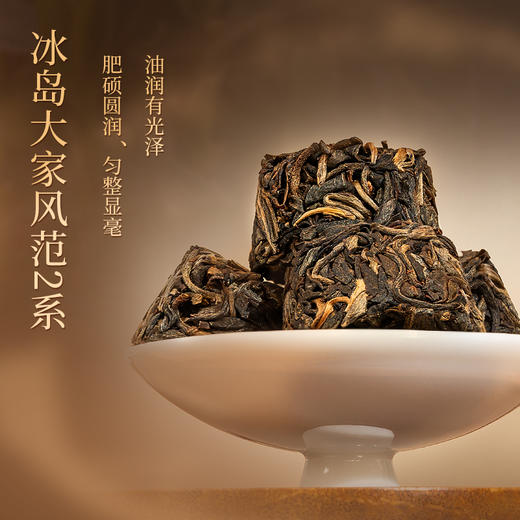懂茶帝2023年冰岛老寨古树茶大家风范2普洱茶（生茶）240g 商品图1