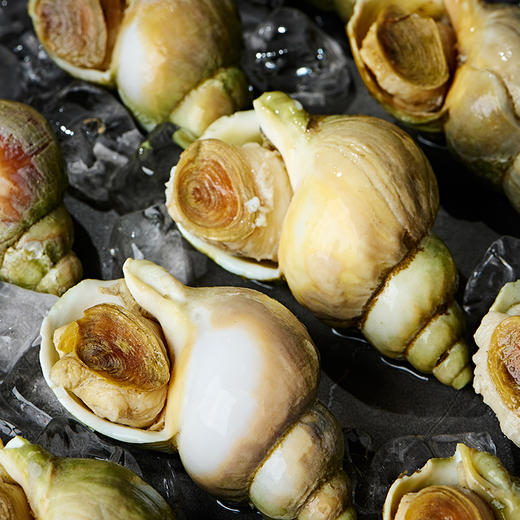【海朴】冷冻翡翠螺500g*3袋海鲜螺肉 商品图1