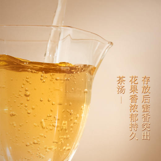 懂茶帝2023年冰岛老寨古树茶大家风范2普洱茶（生茶）240g 商品图3