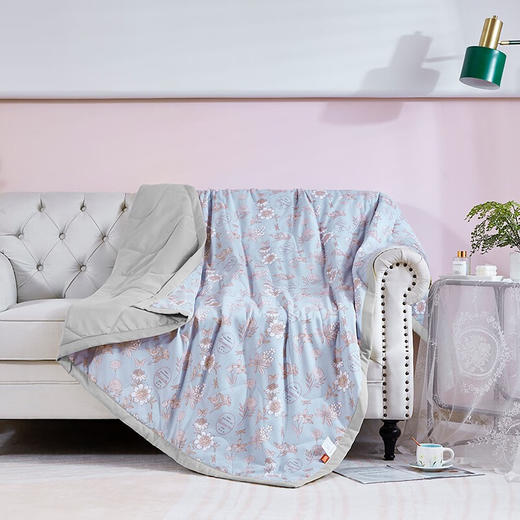  红蜻蜓夏凉被空调被春秋薄被子儿童午睡夏被夏季宿舍单人纤维被-静夏 180*220cm 商品图1