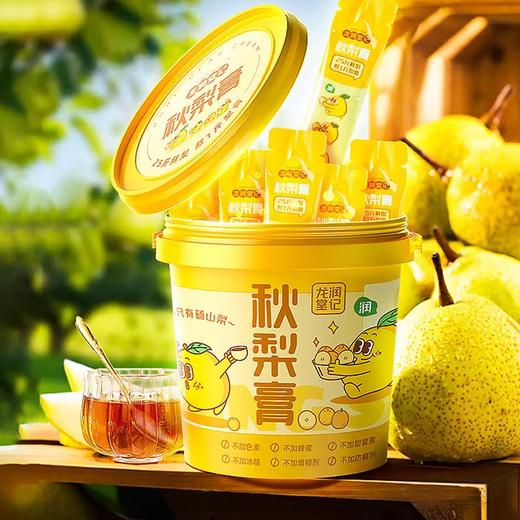 龙润堂记秋梨膏 清润纯梨膏冲饮独立便携装210g*2桶 商品图0
