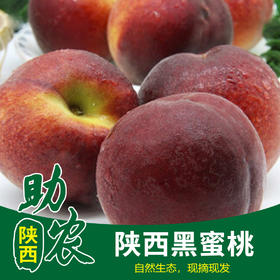 【陕西】黑密桃10斤（自然熟，现摘现发）
