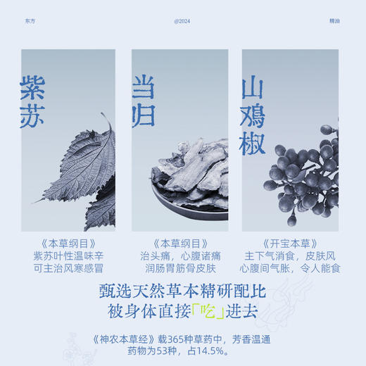 【真不二】真不二紫苏当归中式复方精油肝经按摩腿部 商品图4