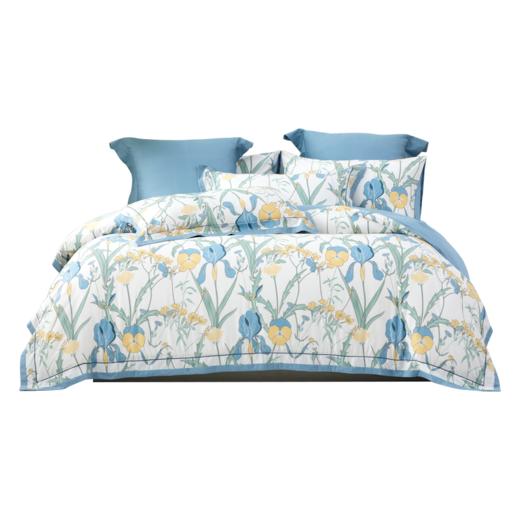 多喜爱 全棉新疆棉斜纹三/四件套 花溪畔 商品图5