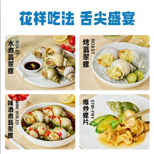 【海朴】冷冻翡翠螺500g*3袋海鲜螺肉 商品图6