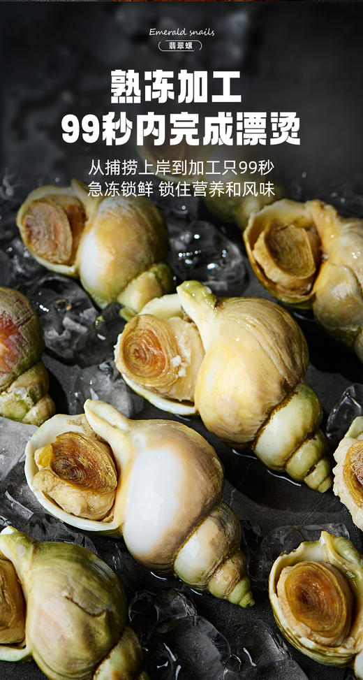 【海朴】冷冻翡翠螺500g*3袋海鲜螺肉 商品图4