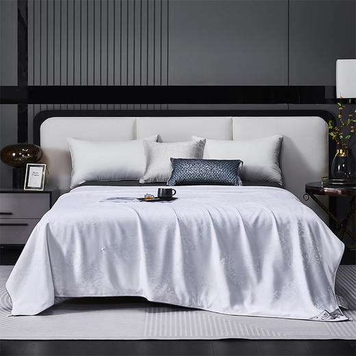 红蜻蜓家纺被子100%蚕丝被春秋被学生宿舍被芯夏被空调被-御品蚕丝被 200*230cm 商品图0