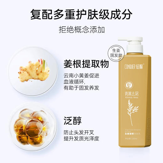 【2024】征服新升级2代青蒿洗发乳、生姜强韧去屑净爽控油蓬松系列、润肤沐浴露护发素改善脆弱发质受损发丝洗发水(下单送小样*2) 商品图14