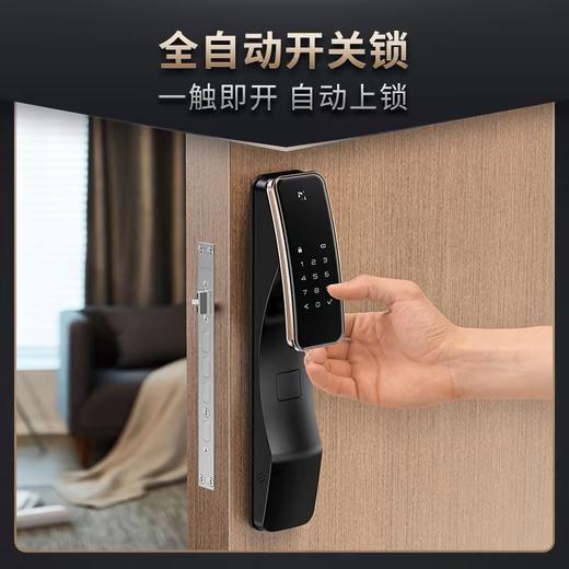 LR【德施曼Q2指纹密码锁家用防盗门全自动智能锁】DSM 商品图2