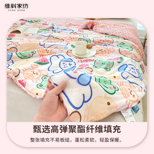 【维科家纺】印花冰感双温A类抑菌夏凉被纤维被芯夏被双人空调被子春秋被 商品图3