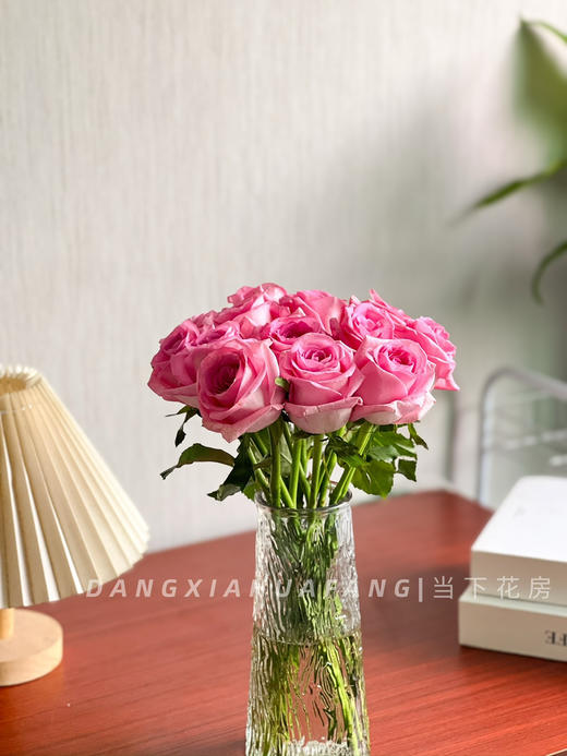 【AB级苏醒玫瑰.第二份减10元】10支/份 长约60cm 商品图11