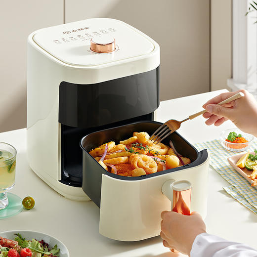 尚朋堂可视空气炸锅SPT-KZ066A 商品图2