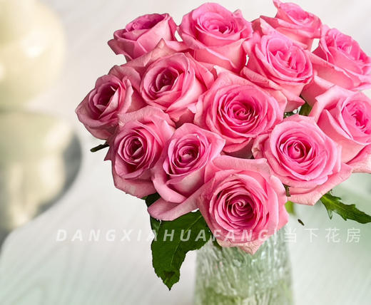 【AB级苏醒玫瑰.第二份减10元】10支/份 长约60cm 商品图10