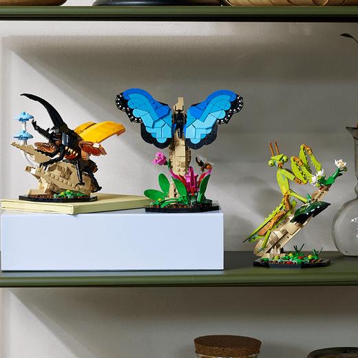 乐高积木L21342DOTS系列虫蝴蝶中华大刀螳 商品图3