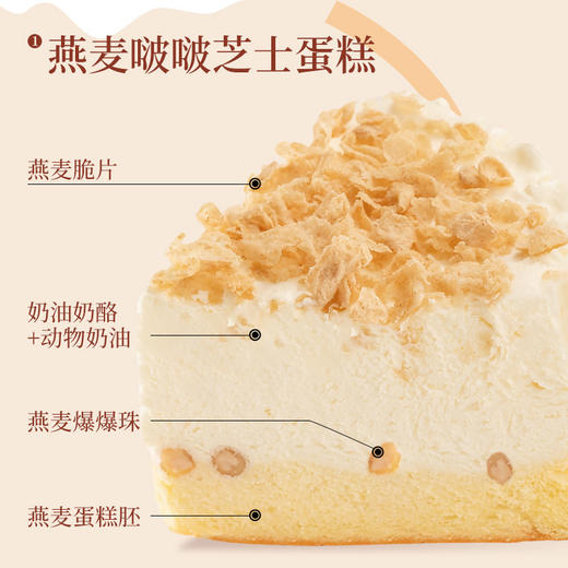 七年五季动物奶油黑森林蛋糕新年礼物小罐盒子芝士蛋糕罐子甜品 商品图5