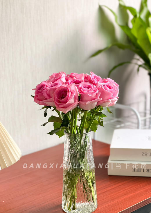 【AB级苏醒玫瑰.第二份减10元】10支/份 长约60cm 商品图7