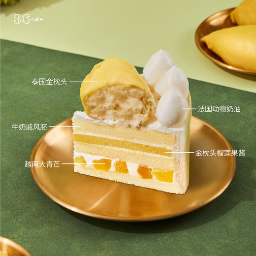 迷你多肉榴莲，可选4英寸 商品图2