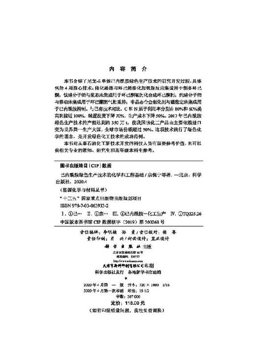 己内酰胺绿色生产技术的化学和工程基础/宗保宁 商品图2