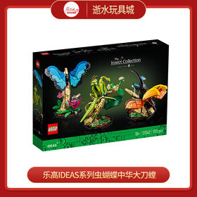 乐高积木L21342DOTS系列虫蝴蝶中华大刀螳