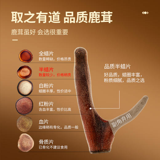 【正宗同仁堂品牌】北京同仁堂 青源堂 鹿茸片 鹿茸半蜡片5克 主角切片 蜡圈丰富 薄厚均匀SY 商品图4
