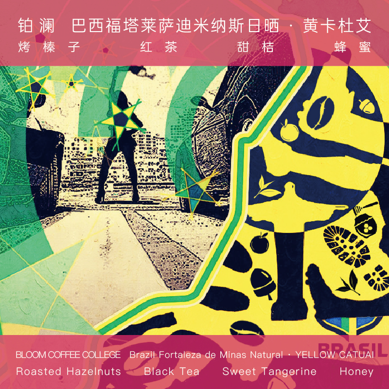 巴西日晒黄卡杜艾精品手冲咖啡豆