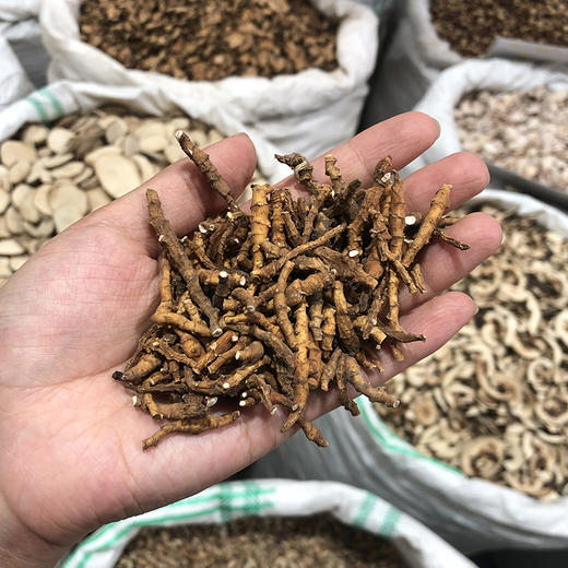 石菖蒲 圆片 石菖蒲  九节菖蒲 当季新货 中药材 商品图4