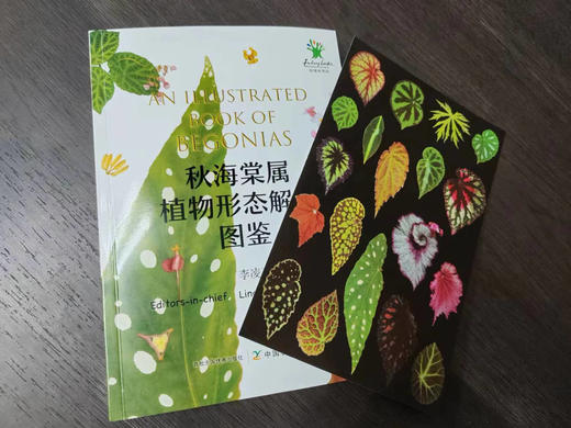 秋海棠属植物形态解剖图鉴【赠“秋海棠叶片图鉴卡一张”】（ 中国农业出版社官方正版，可开发票 ） 商品图2