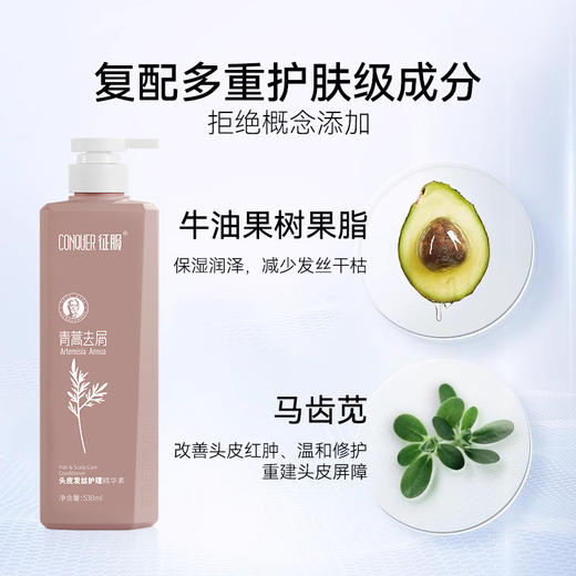 【2024】征服新升级2代青蒿洗发乳、生姜强韧去屑净爽控油蓬松系列、润肤沐浴露护发素改善脆弱发质受损发丝洗发水(下单送小样*2) 商品图5