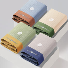 2024年新款男生内裤男士纯棉款四角裤头抑菌短裤衩平角大码青少年学生底裤衩