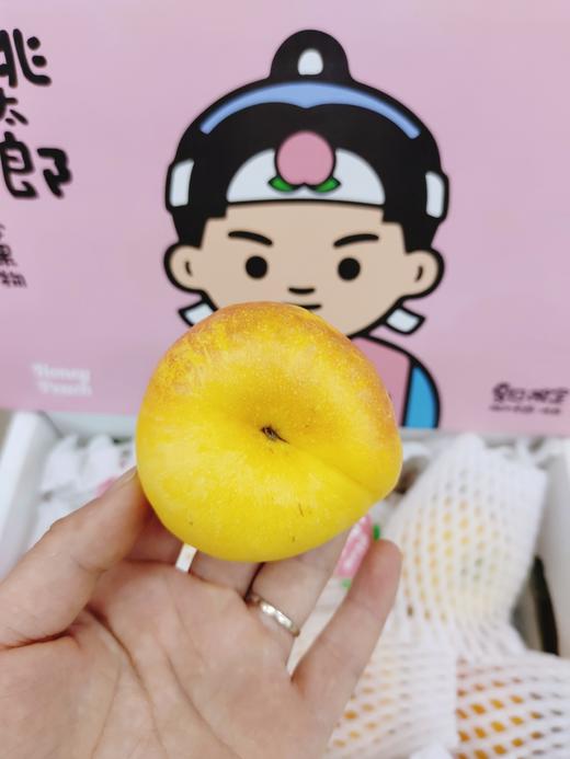 桃太郎礼盒 商品图3