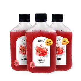臻果然 杨梅汁6瓶装