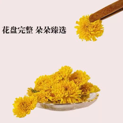 御华景宸有机皇菊 耐冲泡  菊韵飘香 商品图3