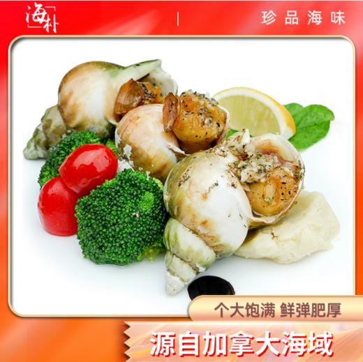 【海朴】冷冻翡翠螺500g*3袋海鲜螺肉 商品图0