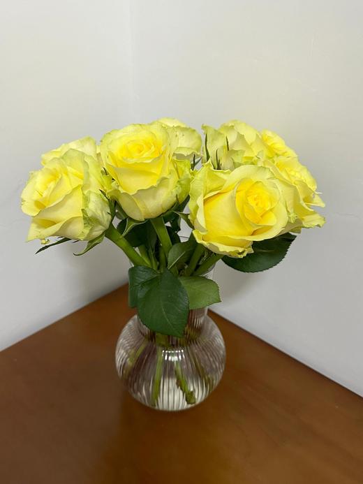 【AB级浪漫沙滩玫瑰.第二件减10元】10支/份 长约60-65cm 商品图12