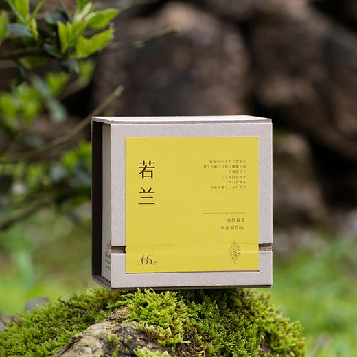 【有机茶】65里林间茶丨慢品系列 有机绿茶 若兰 特级 80g 商品图4
