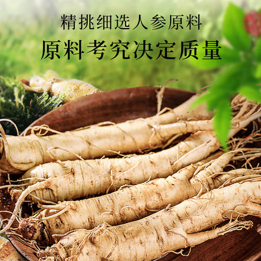 【正宗同仁堂品牌】北京同仁堂 整棵干制人参50g礼盒装（多支装）辽宁人参 整枝人参礼盒 煲汤滋补品SY 商品图1